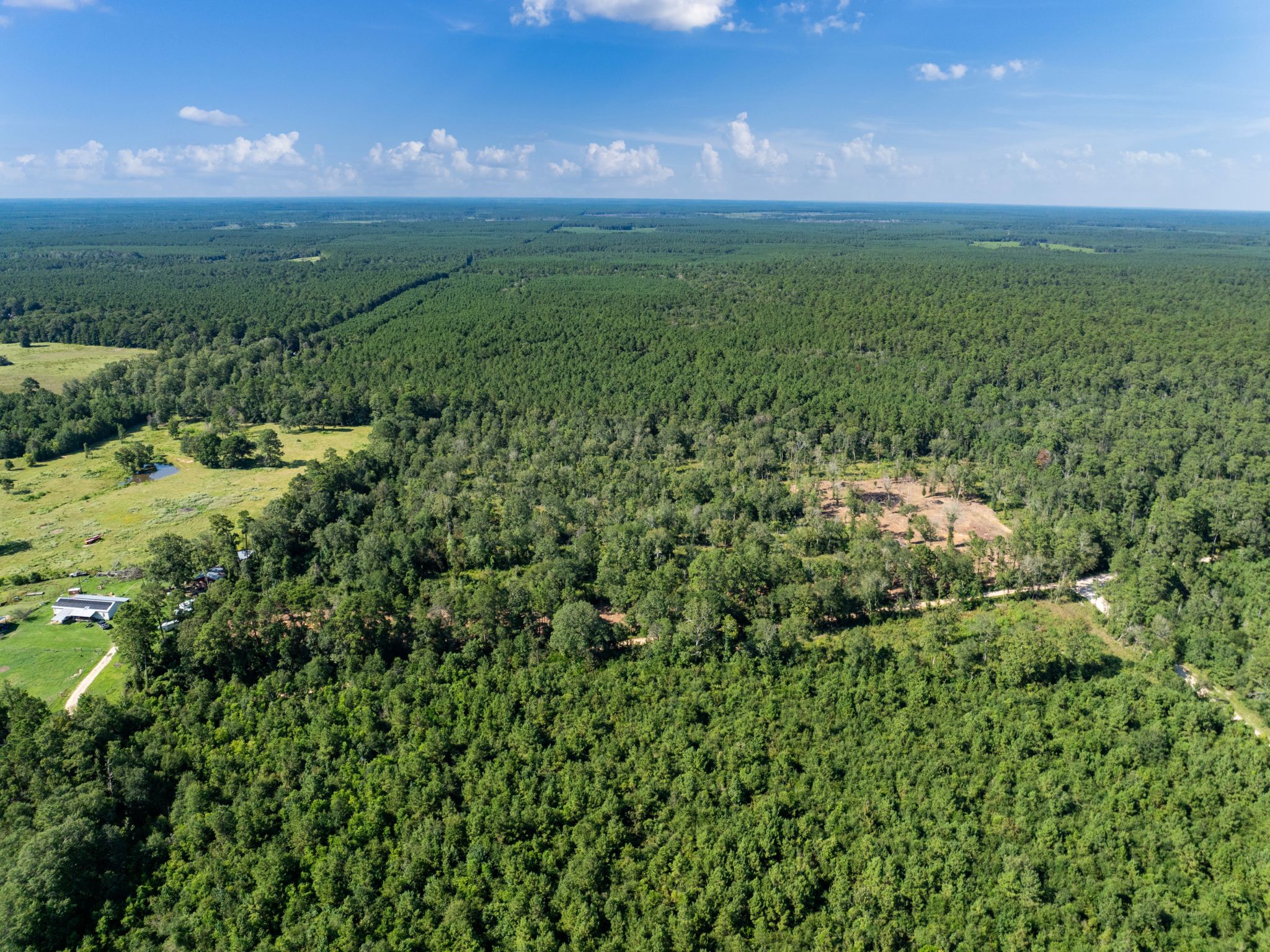 Unrestricted 14 Acres Surrounded by Texas Forest