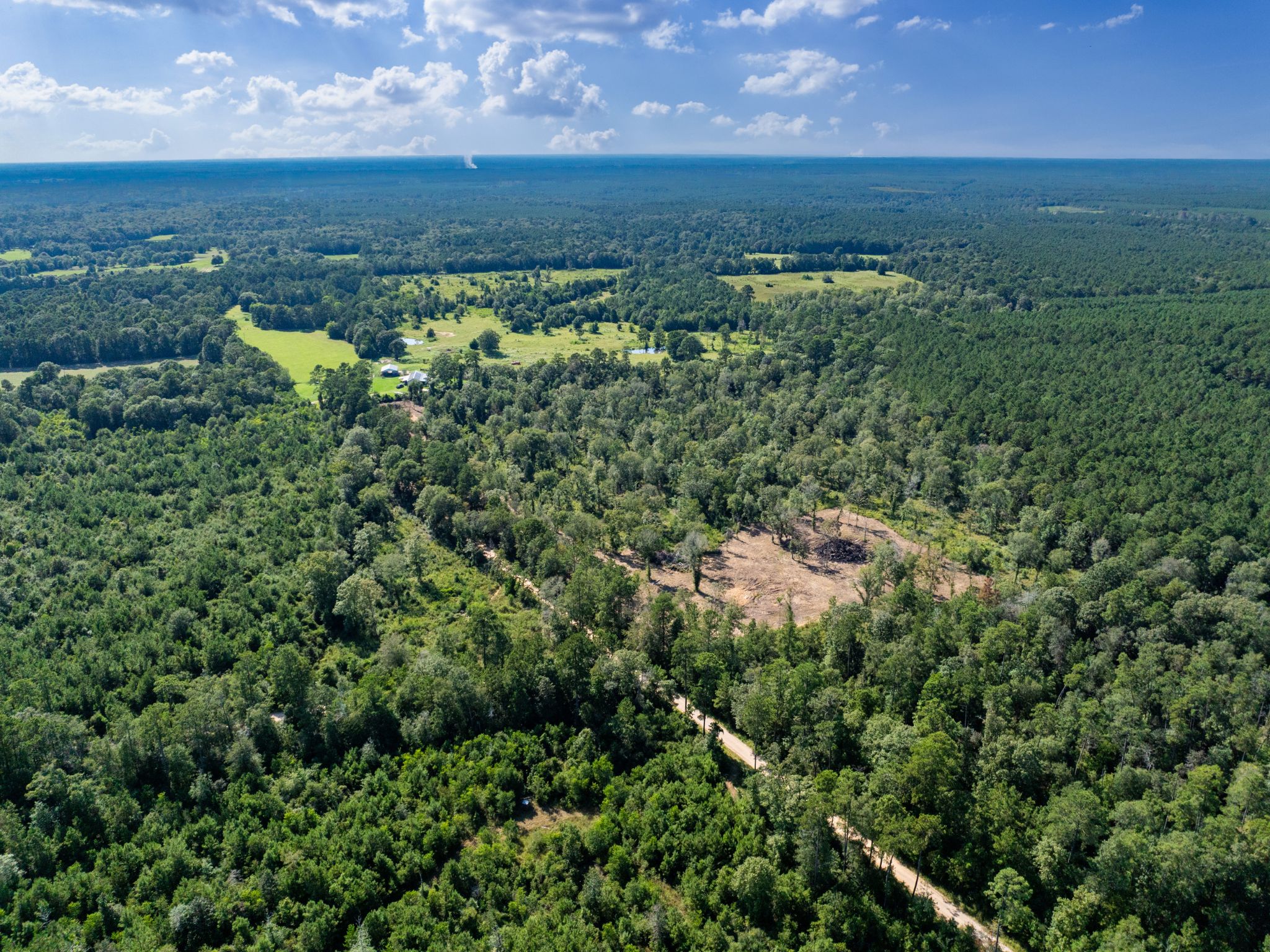 Unrestricted 14 Acres Surrounded by Texas Forest photo 3
