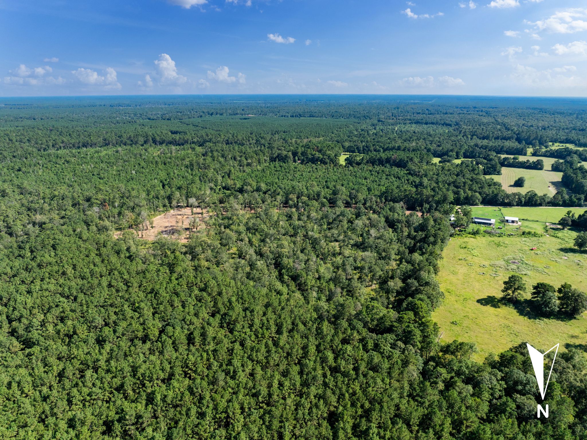 Unrestricted 14 Acres Surrounded by Texas Forest photo 4