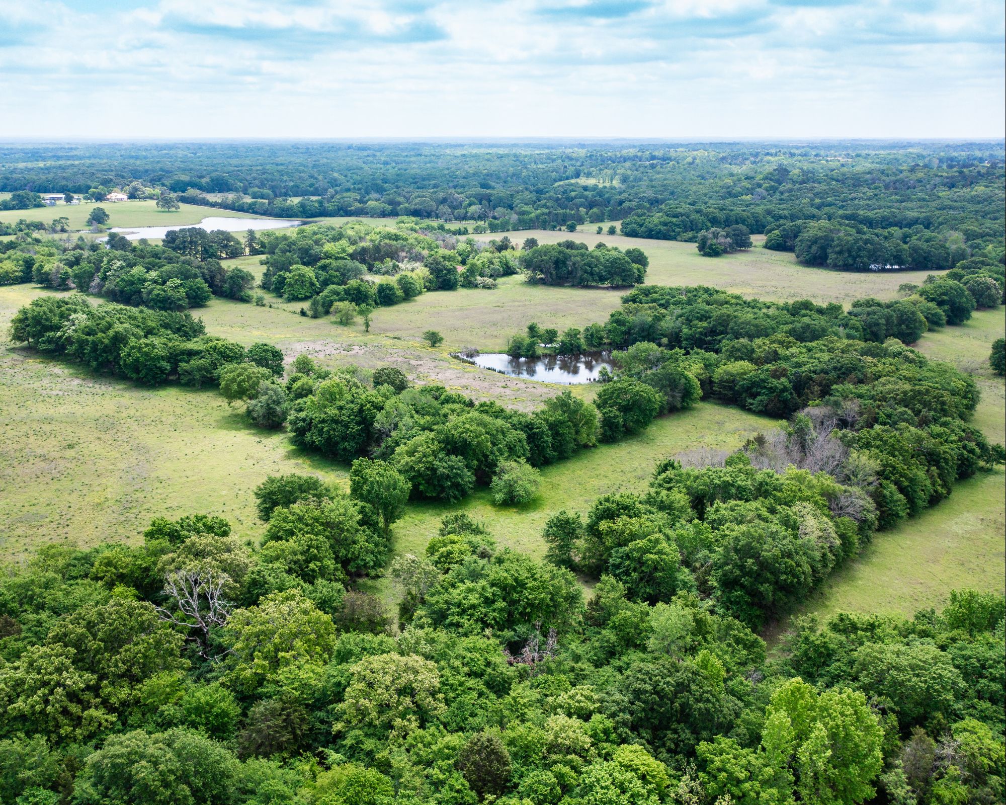 148 Scenic Acres – Ideal for Ranching, Development or Recreation photo 2