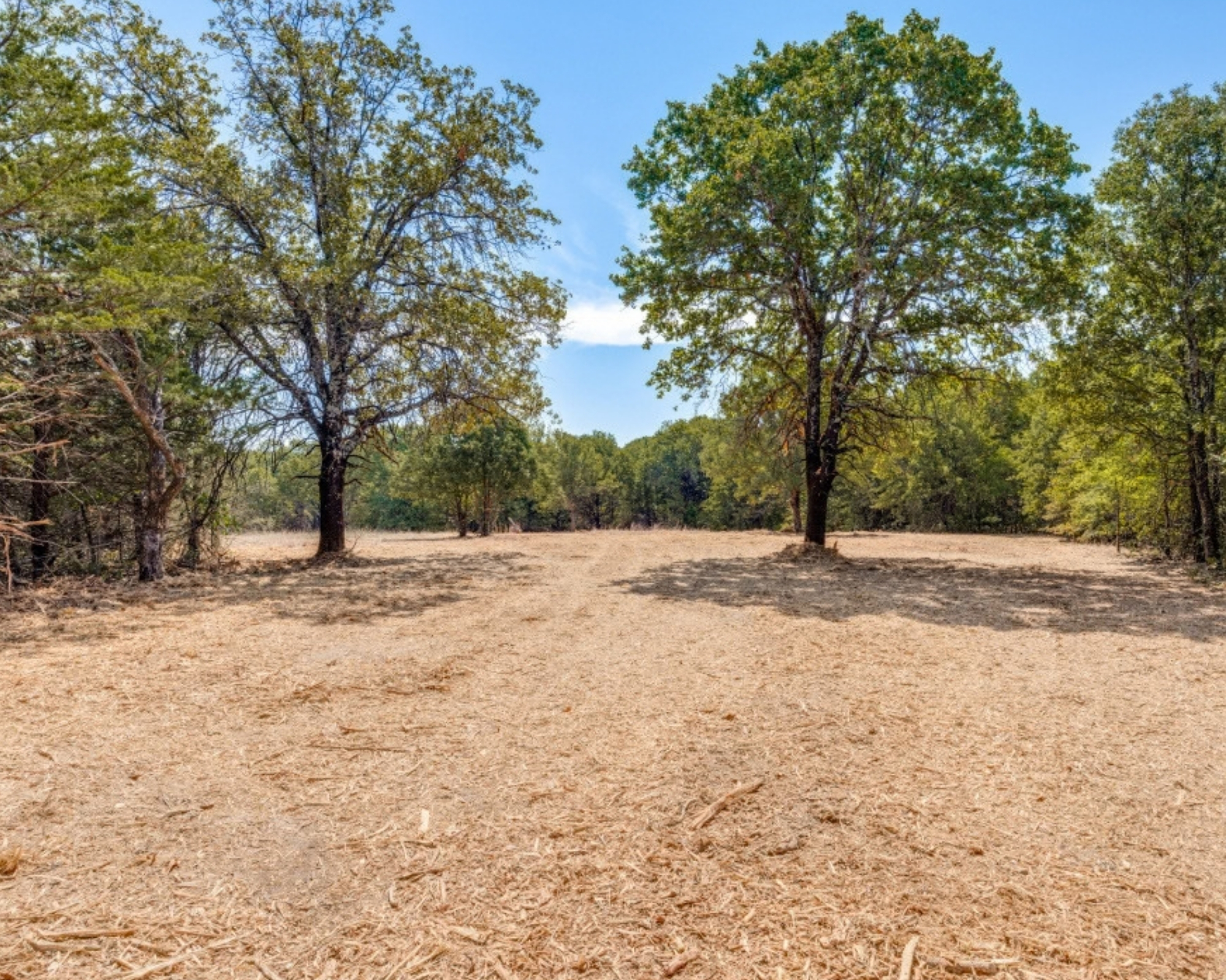 57.85 Wooded Waterfront Acres Bordering Lake Texoma photo 4