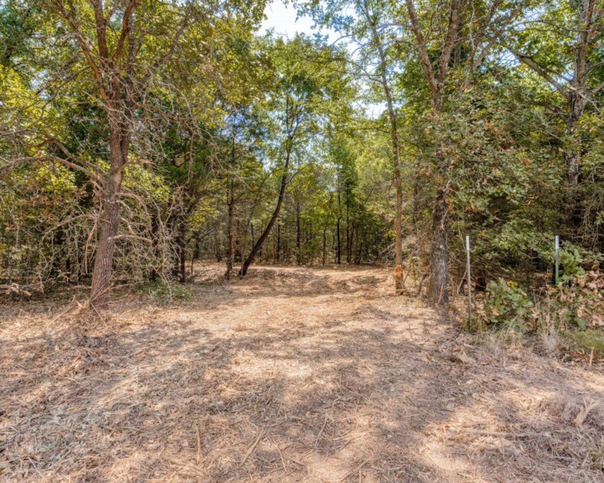 57.85 Wooded Waterfront Acres Bordering Lake Texoma photo 5