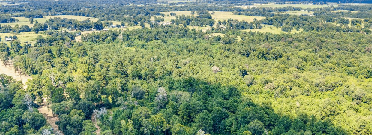 20 Acres – Unrestricted, Build-Ready Ranchette in Liberty County, TX photo 2