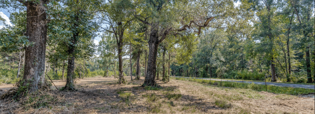 20 Acres – Unrestricted, Build-Ready Ranchette in Liberty County, TX photo 4