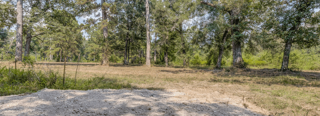 20 Acres – Unrestricted, Build-Ready Ranchette in Liberty County, TX photo 5