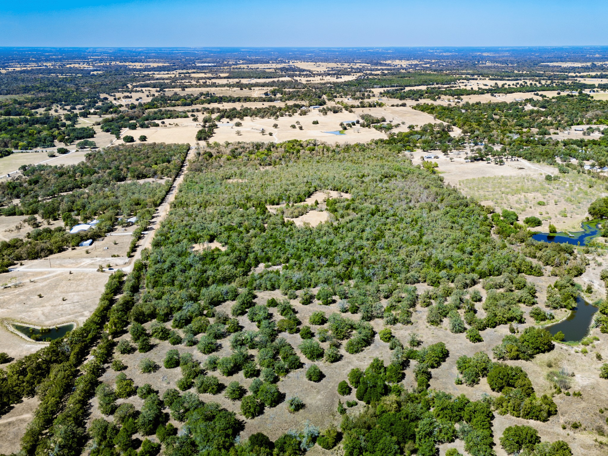Private Wooded Tract in Burleson County – No Flood Zone, Ready to Build – Tract 3