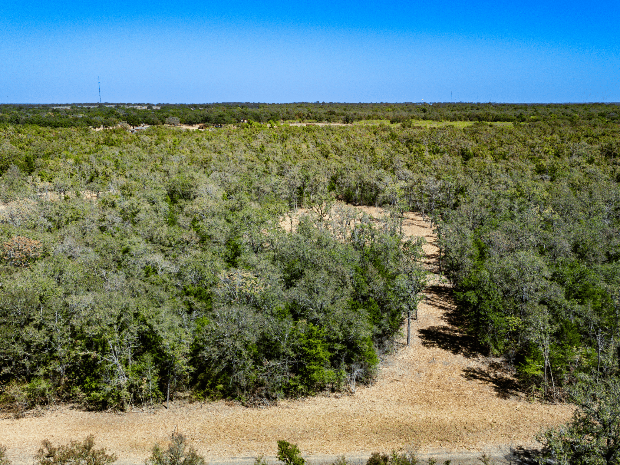 Private Wooded Tract in Burleson County – No Flood Zone, Ready to Build – Tract 3 photo 3