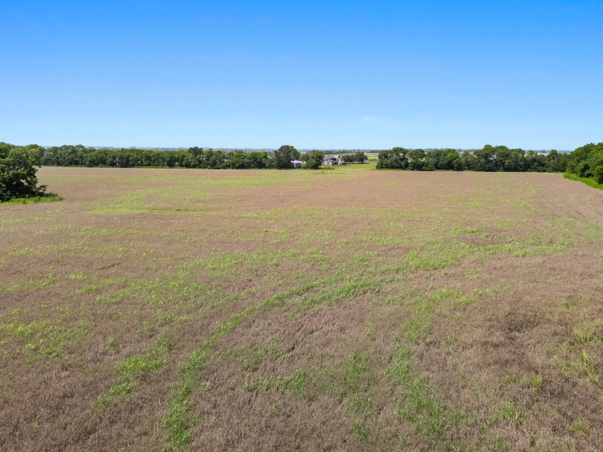 14.5 Acres Near Blue Ridge – Build Your Country Home 25 Minutes from McKinney, Collin County, TX photo 3