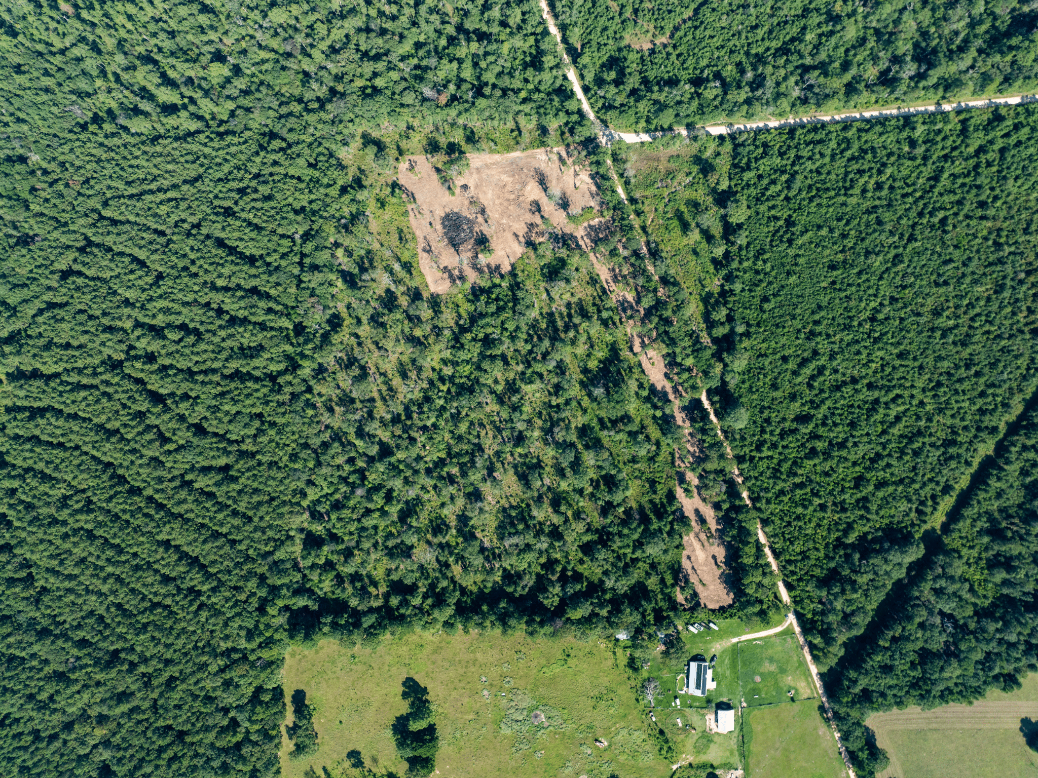 Unrestricted 15.8 Acres Surrounded by Texas Forest