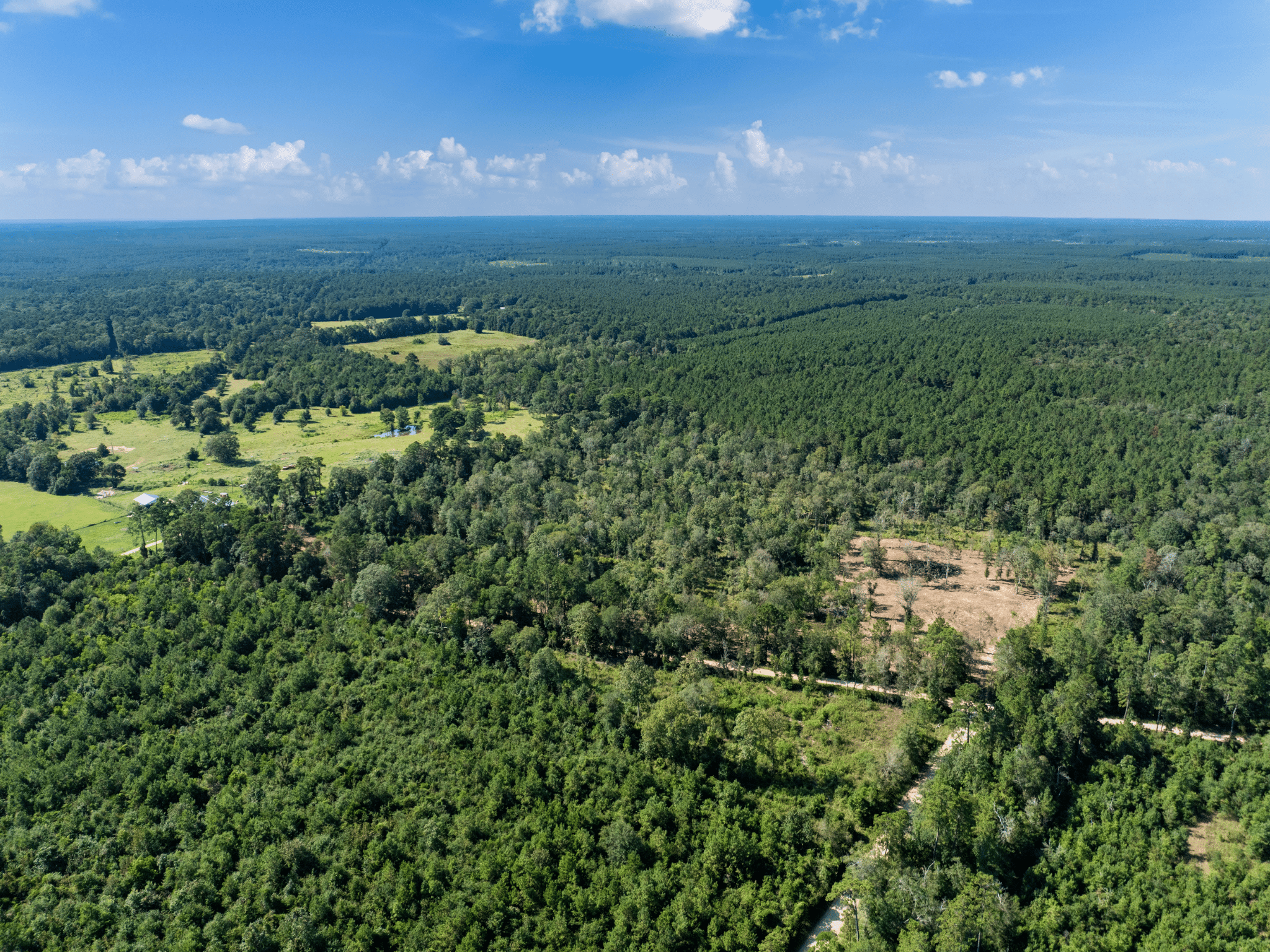 Unrestricted 15.8 Acres Surrounded by Texas Forest photo 2