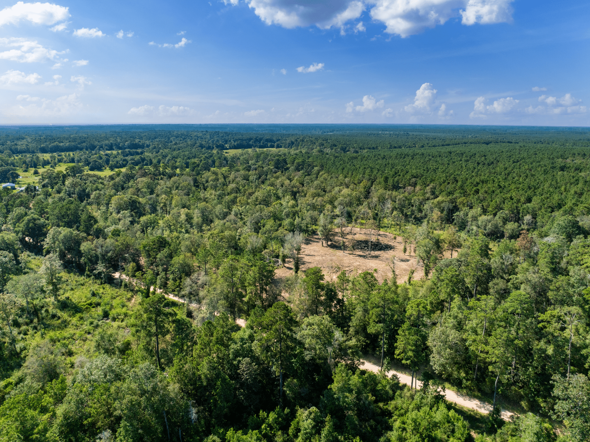 Unrestricted 15.8 Acres Surrounded by Texas Forest photo 4