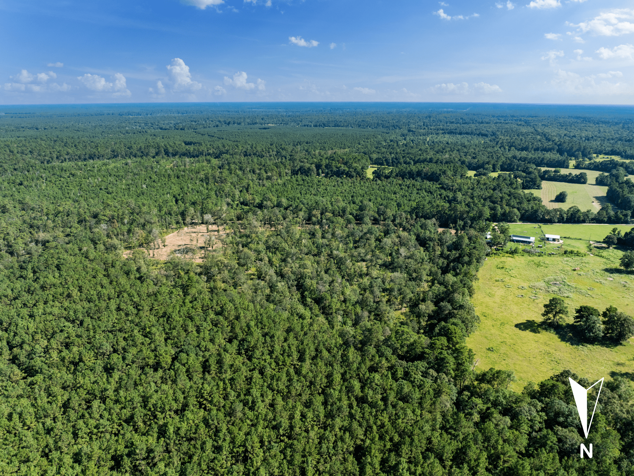 Unrestricted 15.8 Acres Surrounded by Texas Forest photo 5