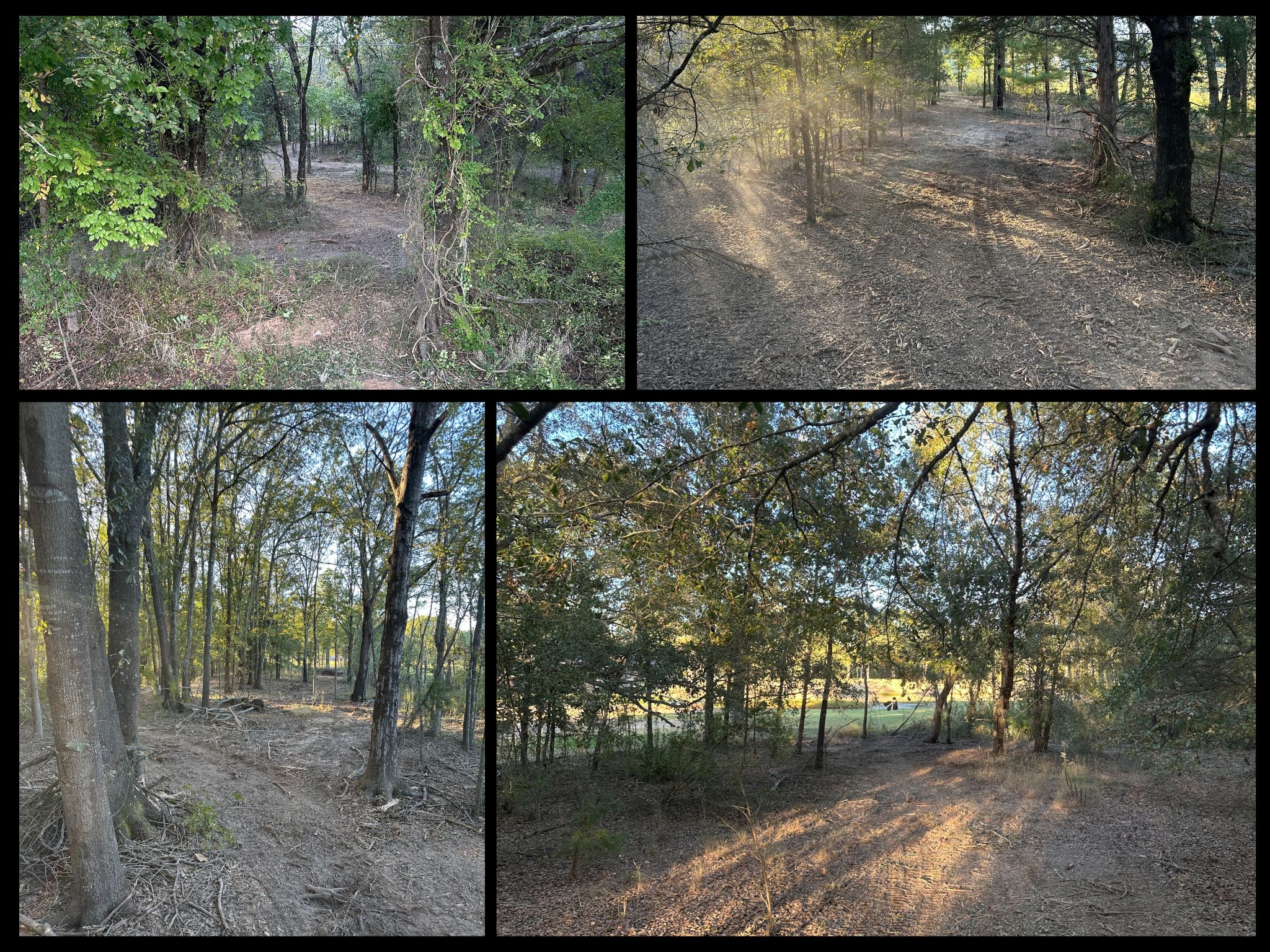 Serene Oasis: A 4-Acre Haven in Lamar County, TX, Just Minutes from Pat Mayse Lake photo 3