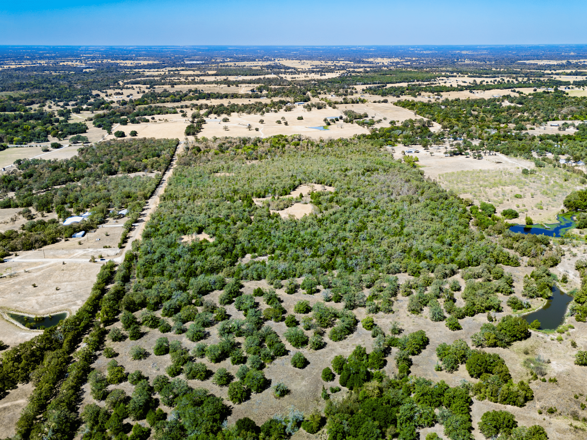 11 Unrestricted Acres with No Floodplain – Partially Cleared Homesite, Lake Somerville Area – Tract 5