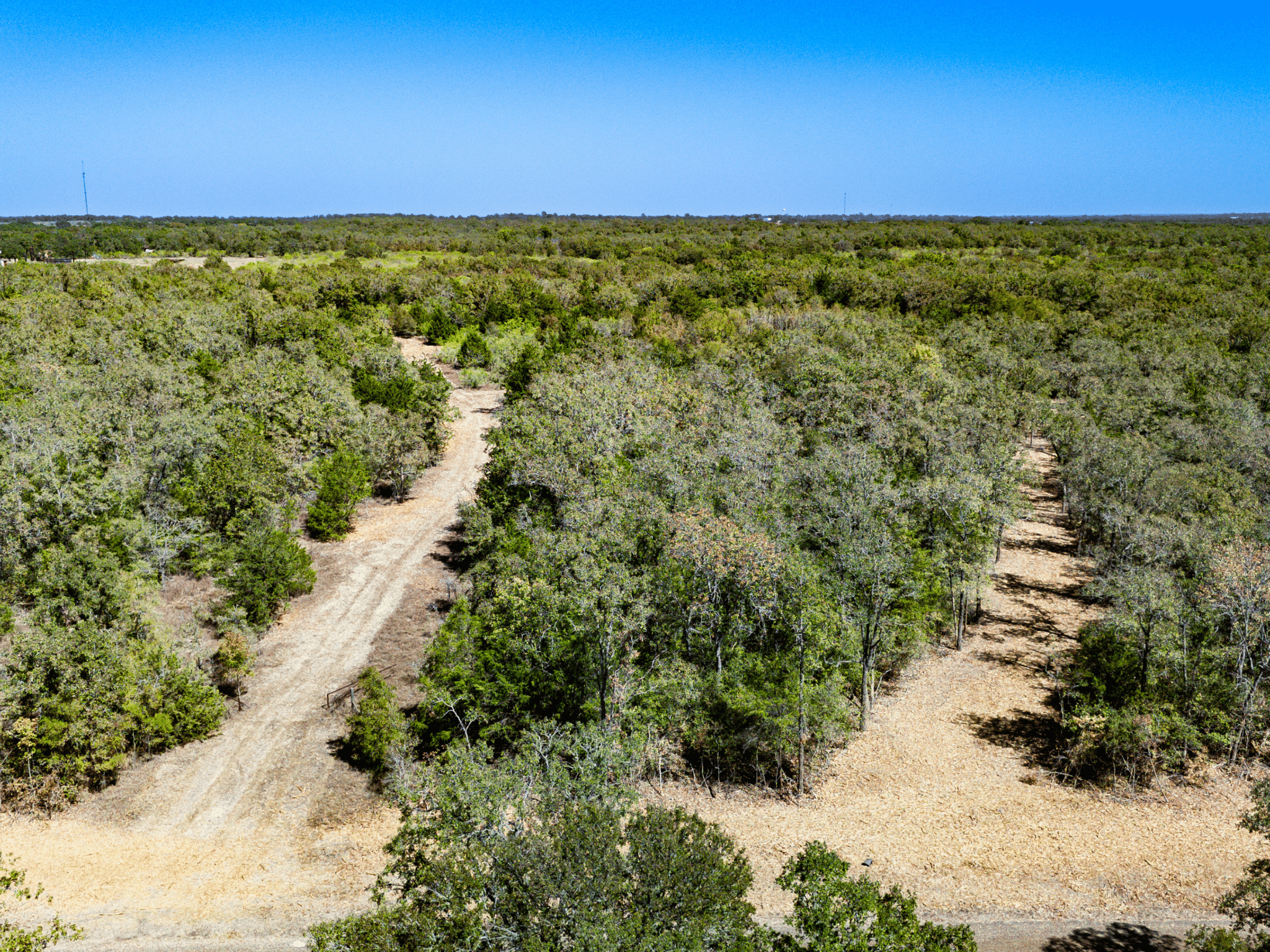 11 Unrestricted Acres with No Floodplain – Partially Cleared Homesite, Lake Somerville Area – Tract 5 photo 3