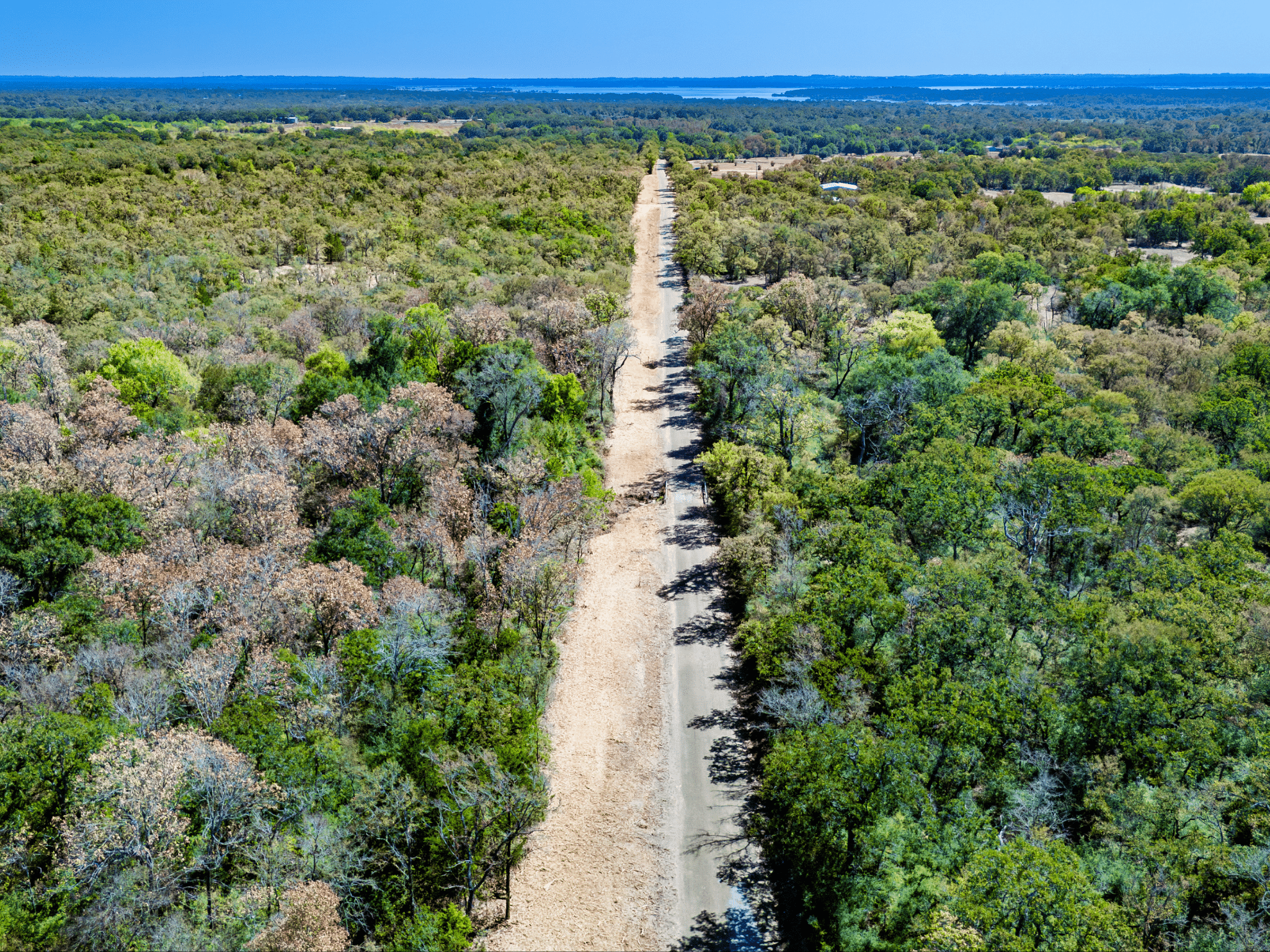 11 Unrestricted Acres with No Floodplain – Partially Cleared Homesite, Lake Somerville Area – Tract 5 photo 5