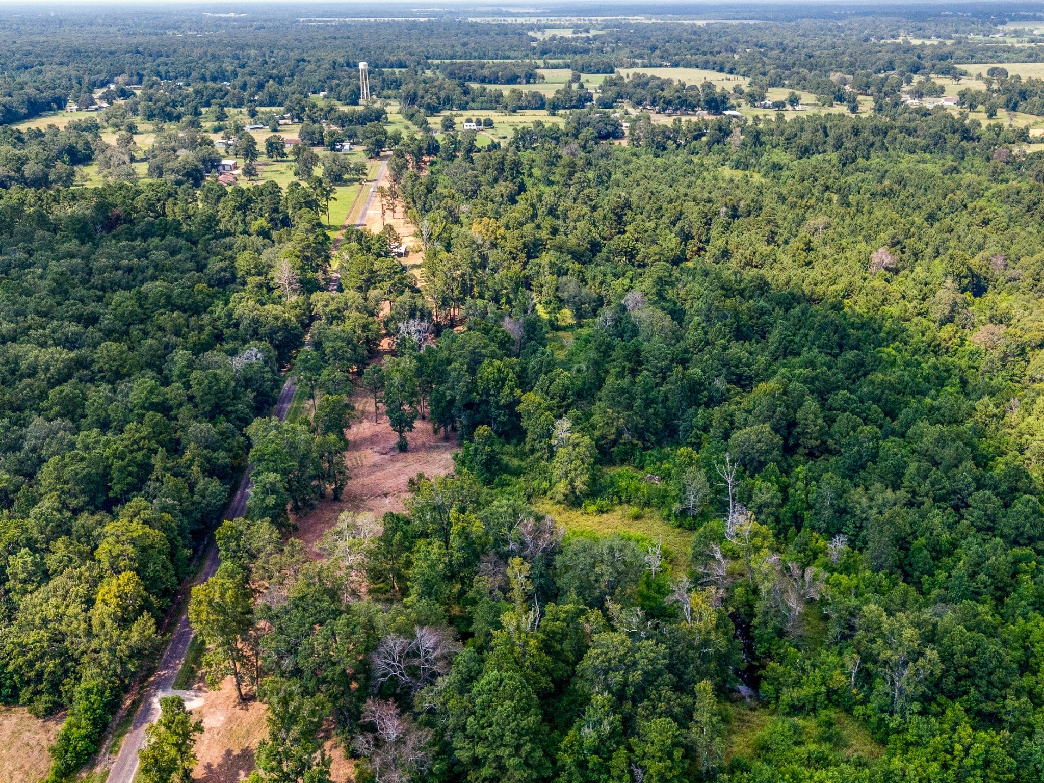 10 Unrestricted Acres Near Houston – Piney Woods Ranchette, Power & Water In Place, Liberty County TX photo 2