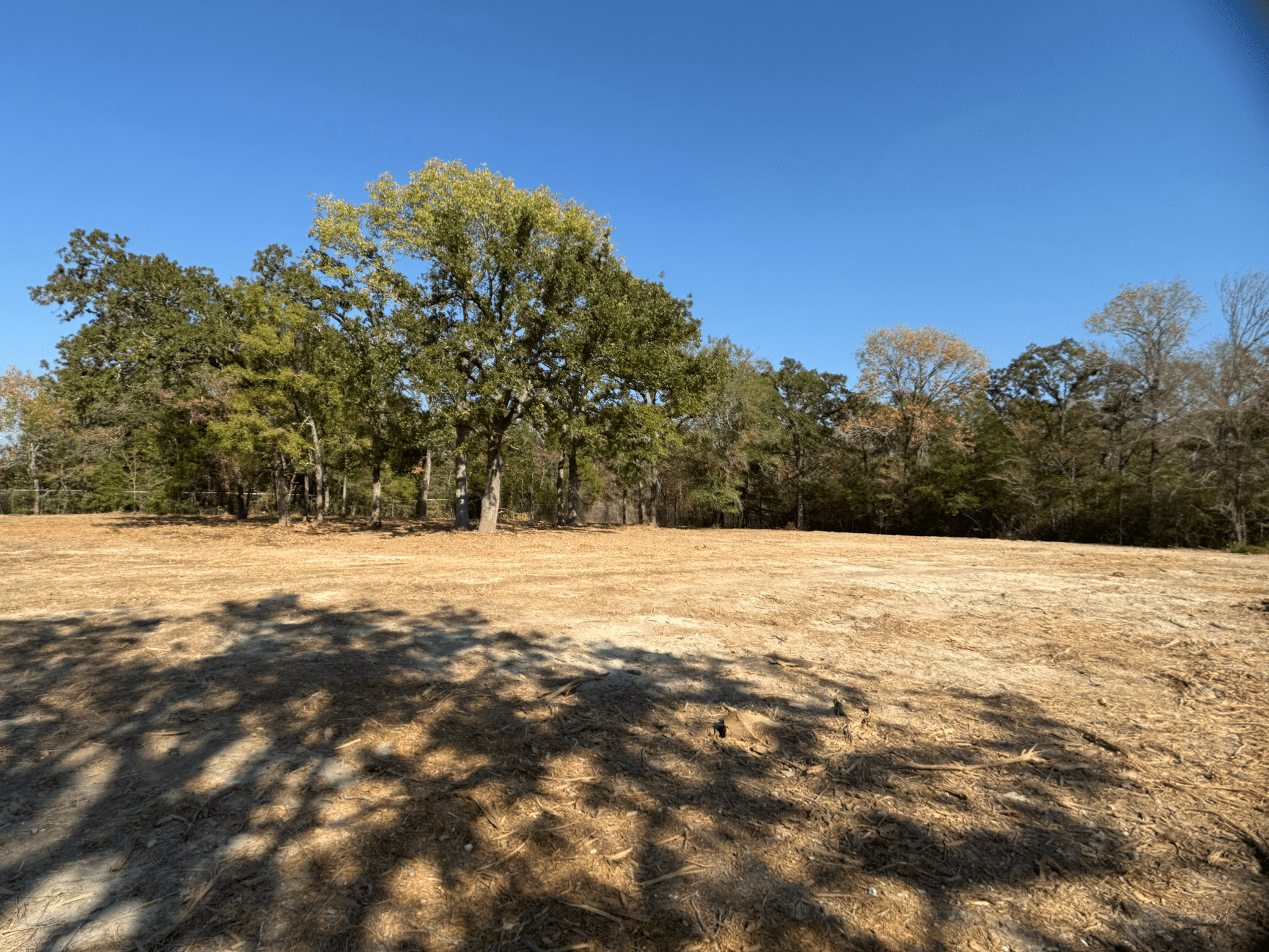 11 Acres Near College Station – No HOA, Power at Road, Ready to Build - Tract 1 photo 3