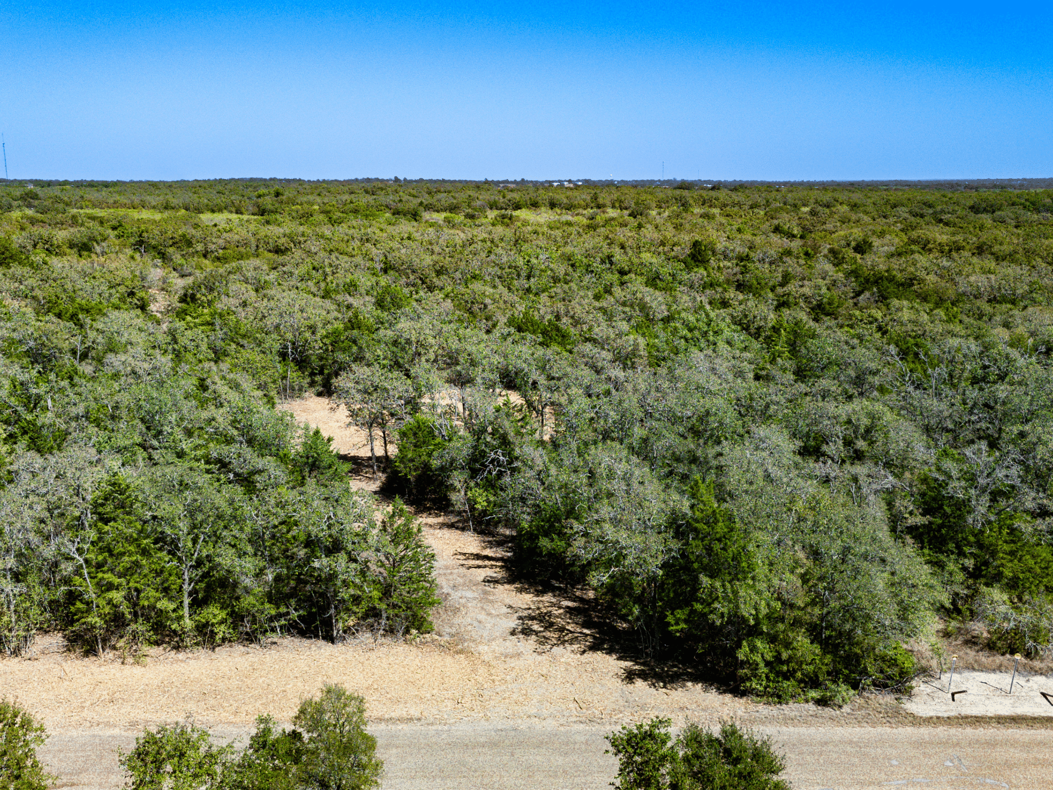14 Unrestricted Acres – Largest Tract on CR 414, No Floodplain, Cleared Homesite – Tract 6 photo 2