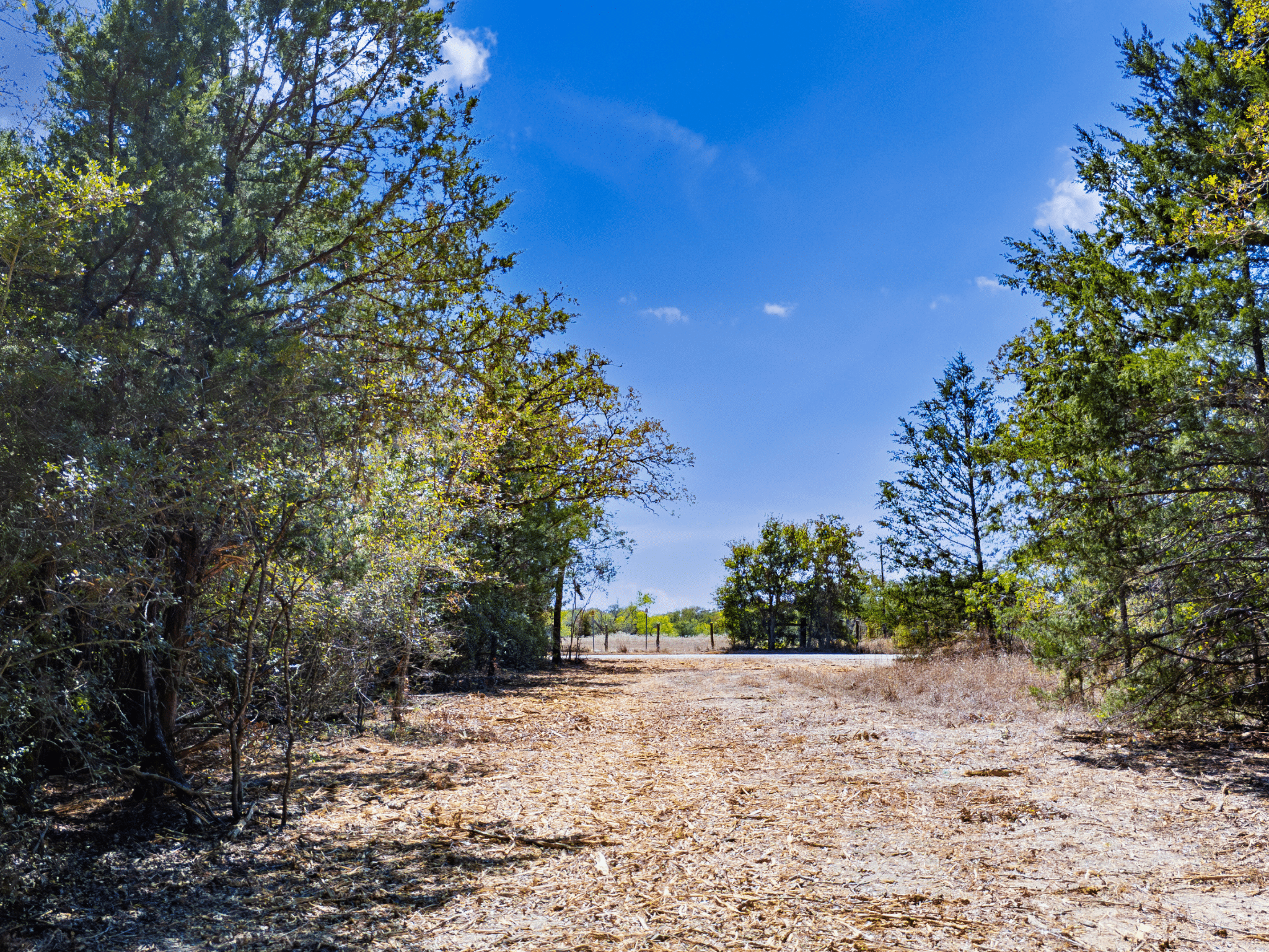 14 Unrestricted Acres – Largest Tract on CR 414, No Floodplain, Cleared Homesite – Tract 6 photo 4