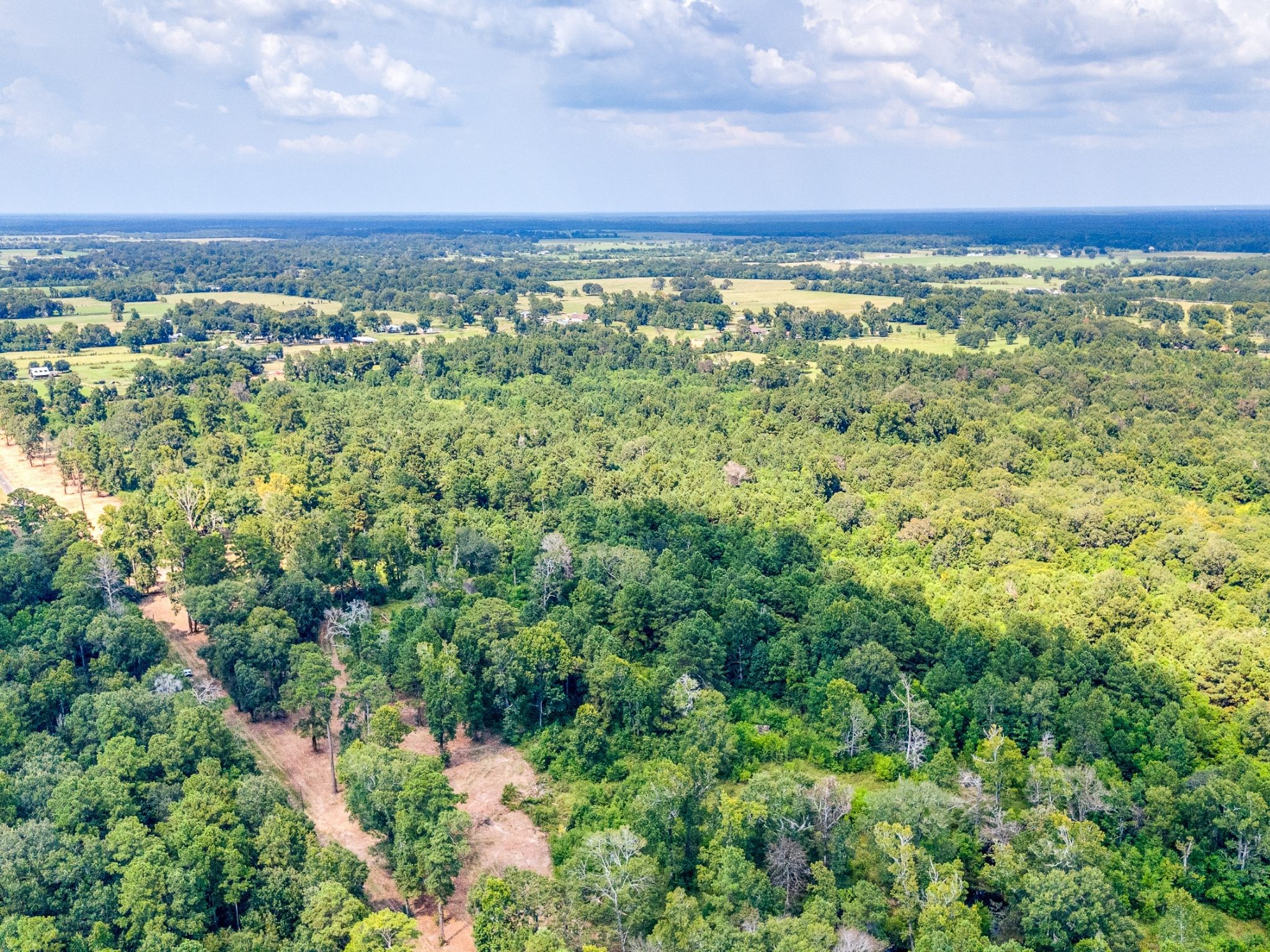 15 Acres – Unrestricted, Build-Ready Ranchette in Liberty County, TX