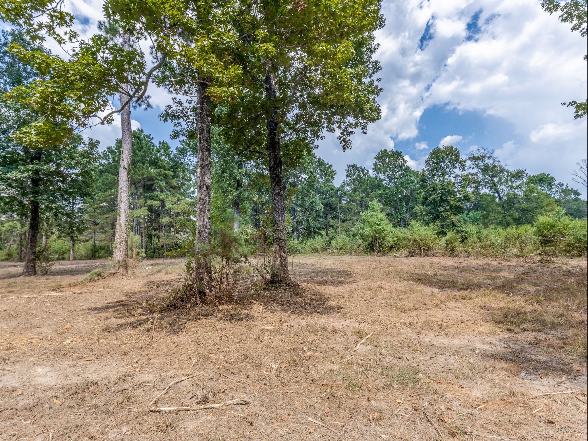15 Acres – Unrestricted, Build-Ready Ranchette in Liberty County, TX photo 3
