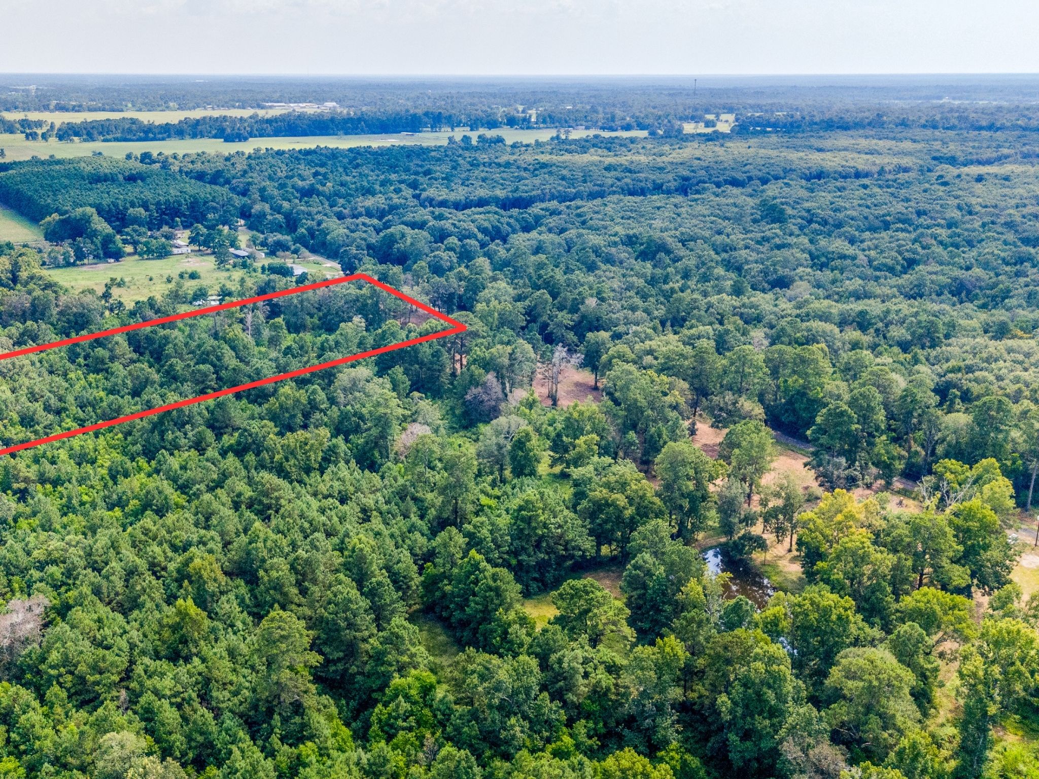 15 Acres – Unrestricted, Build-Ready Ranchette in Liberty County, TX photo 5