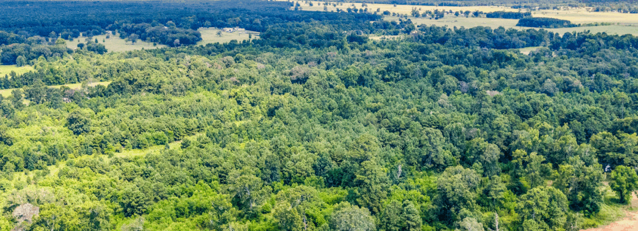 10 Acres Near Houston – Power Extended, Water Coming, No Restrictions, Mobiles OK