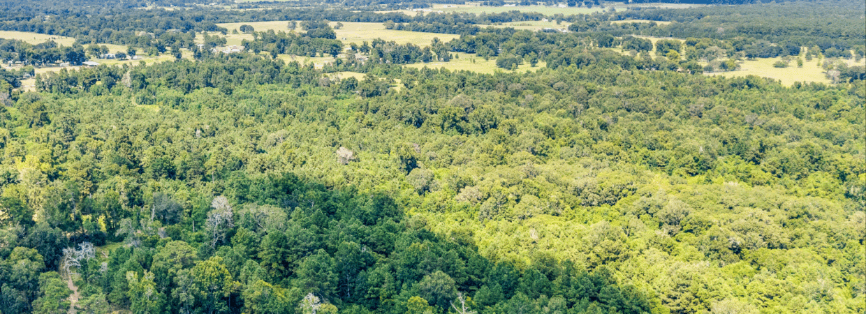 10 Acres Near Houston – Power Extended, Water Coming, No Restrictions, Mobiles OK photo 2
