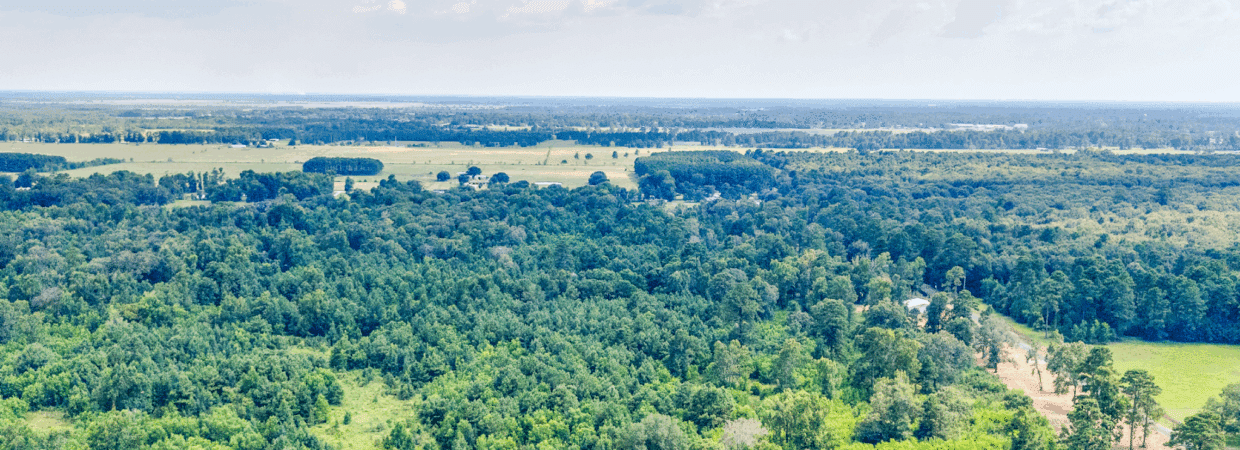 10 Acres Near Houston – Power Extended, Water Coming, No Restrictions, Mobiles OK photo 3