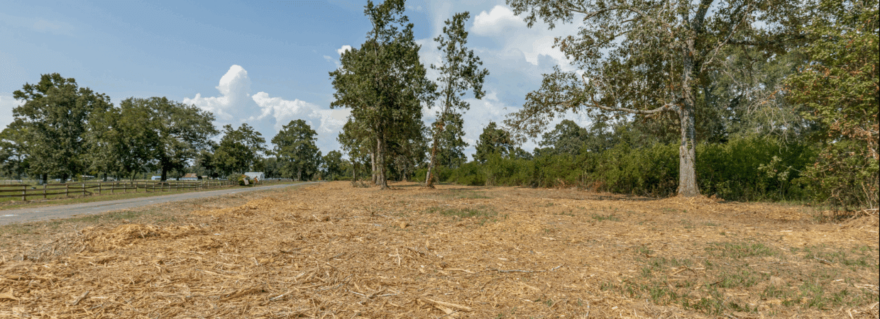 10 Acres Near Houston – Power Extended, Water Coming, No Restrictions, Mobiles OK photo 4